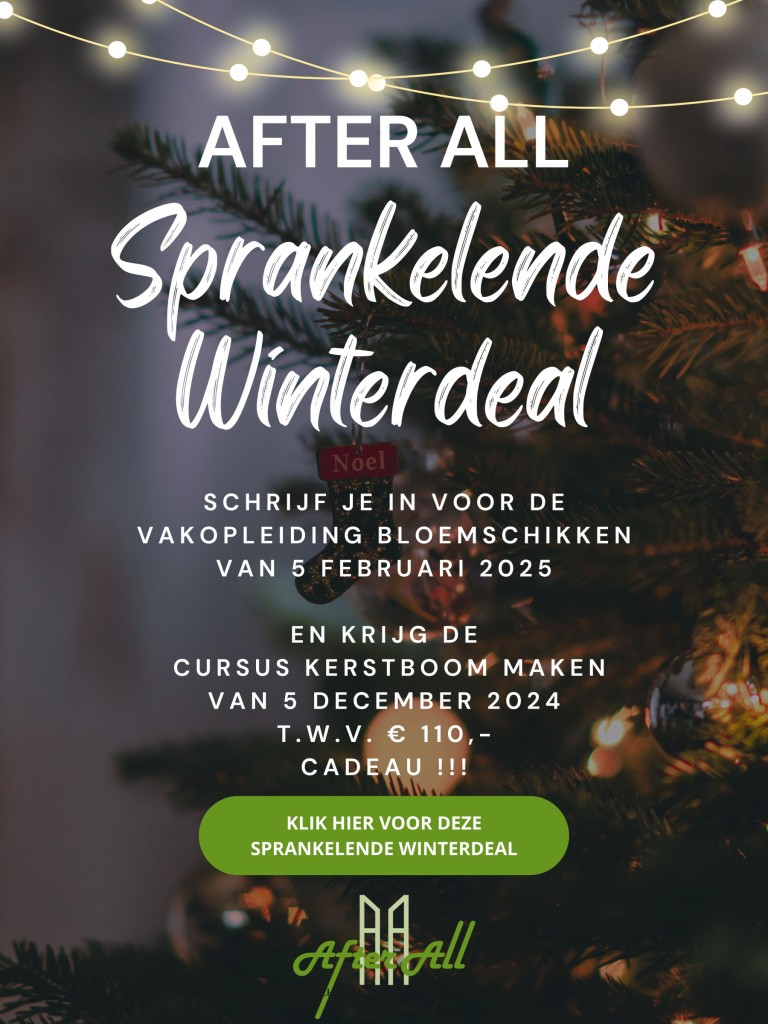 Sprankelende Winterdeal